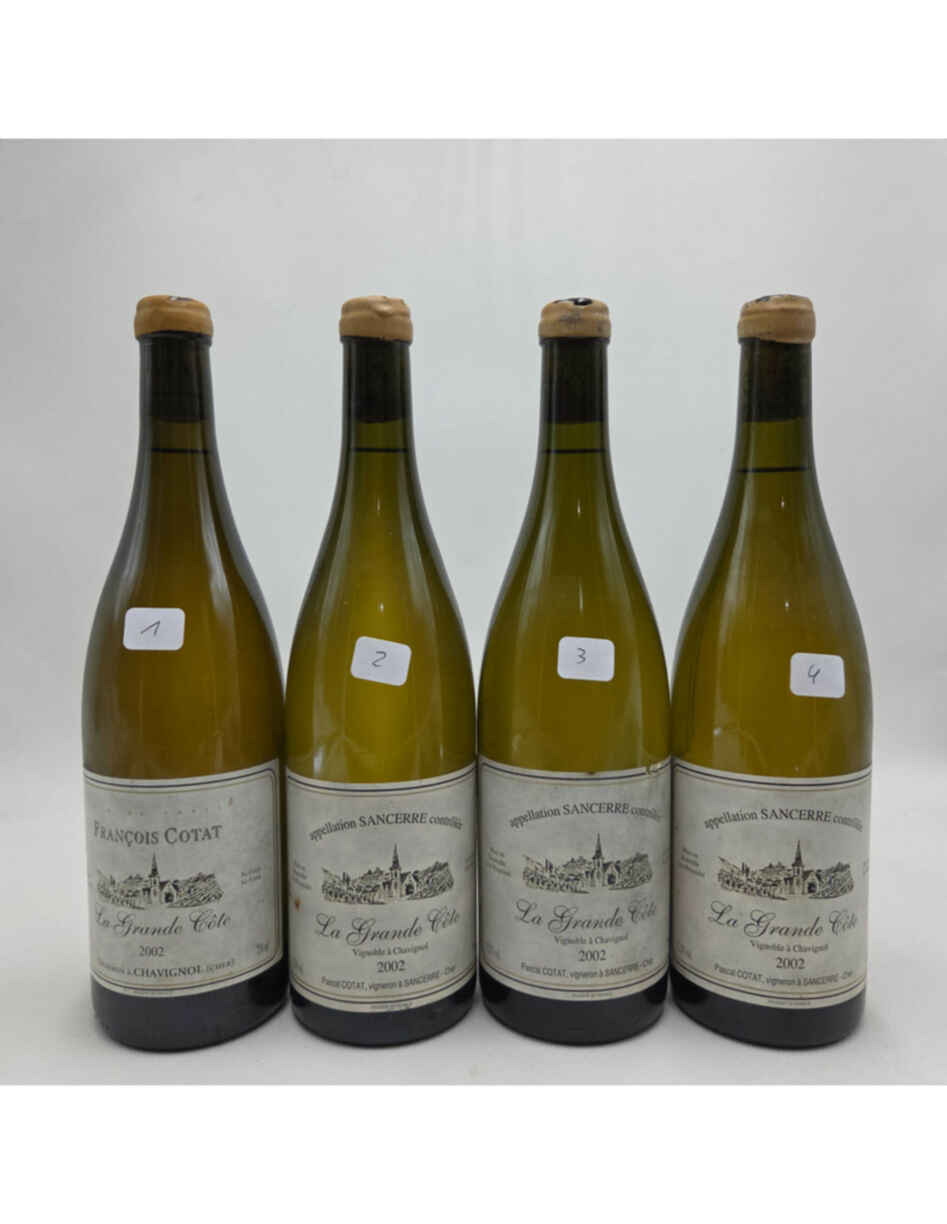 Pascal Cotat Sancerre La Grande Cote 2002