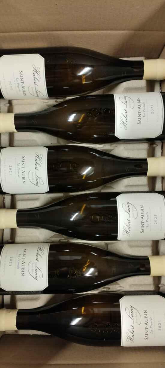 Hubert Lamy Saint-aubin La Princee 2021