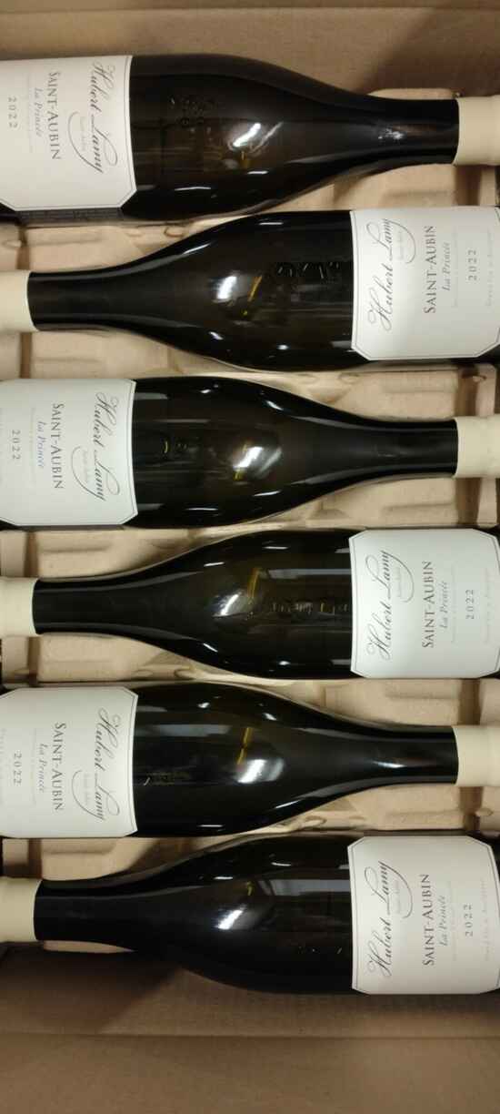 Hubert Lamy Saint-aubin La Princee 2022