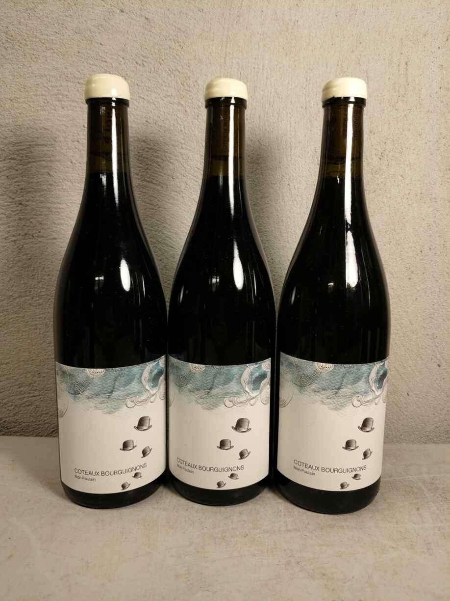 Les Horees Coteaux Bourguignons Mon Poulain 2023