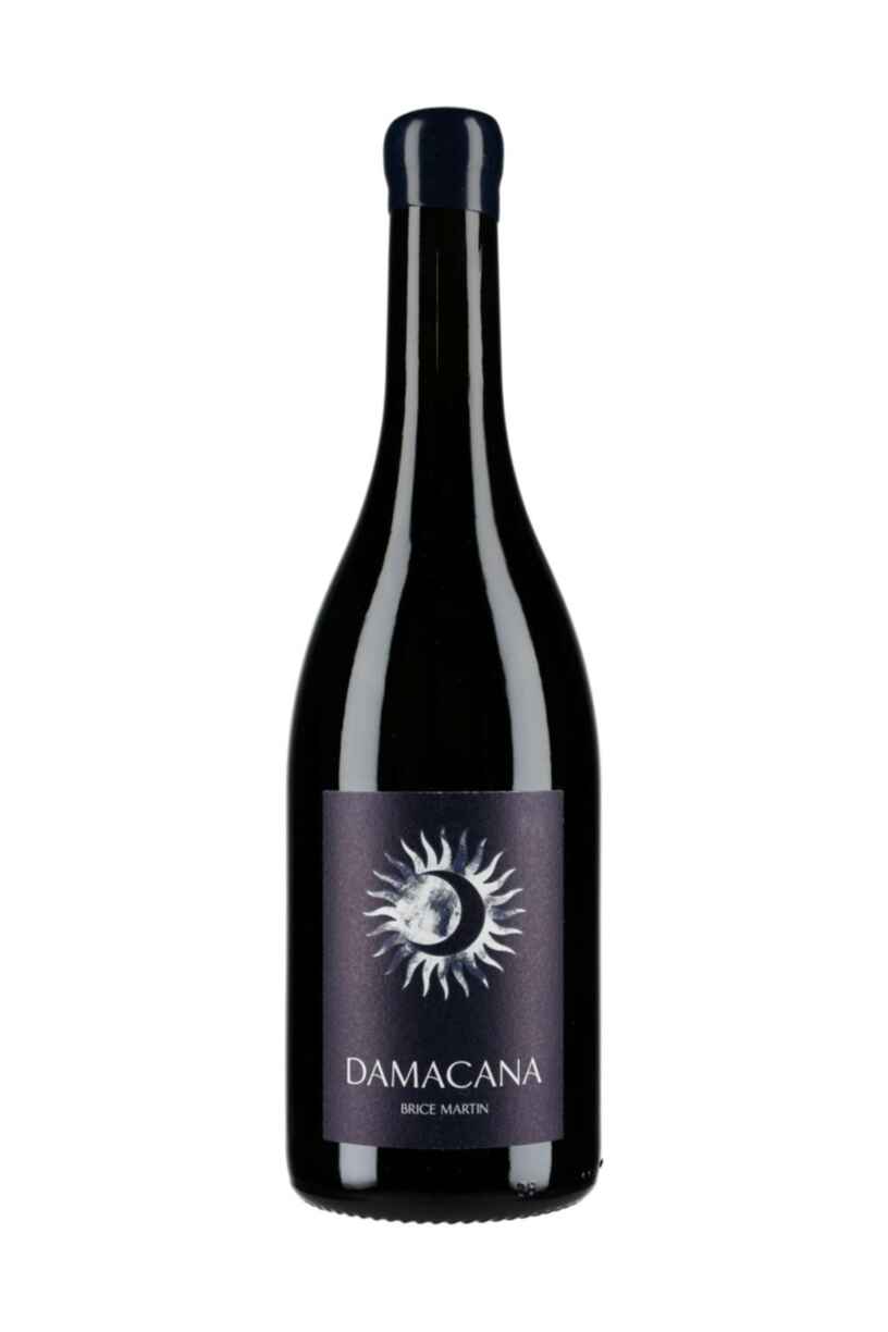 Brice Martin Bourgogne Damacana 2022