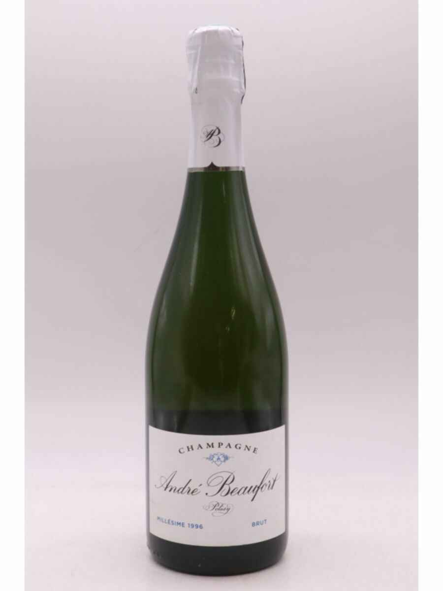 Andre Beaufort Polisy Brut 1996