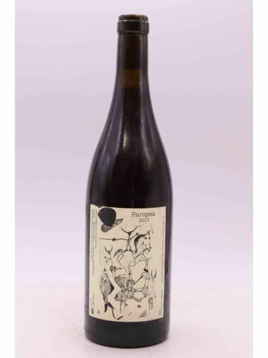 Morgane Turlier Pangea 2023