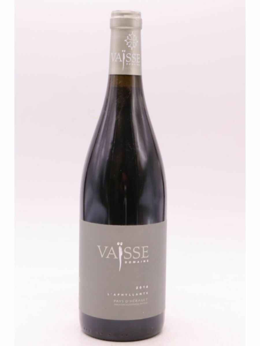 Vaisse Aphyllante Herault 2016