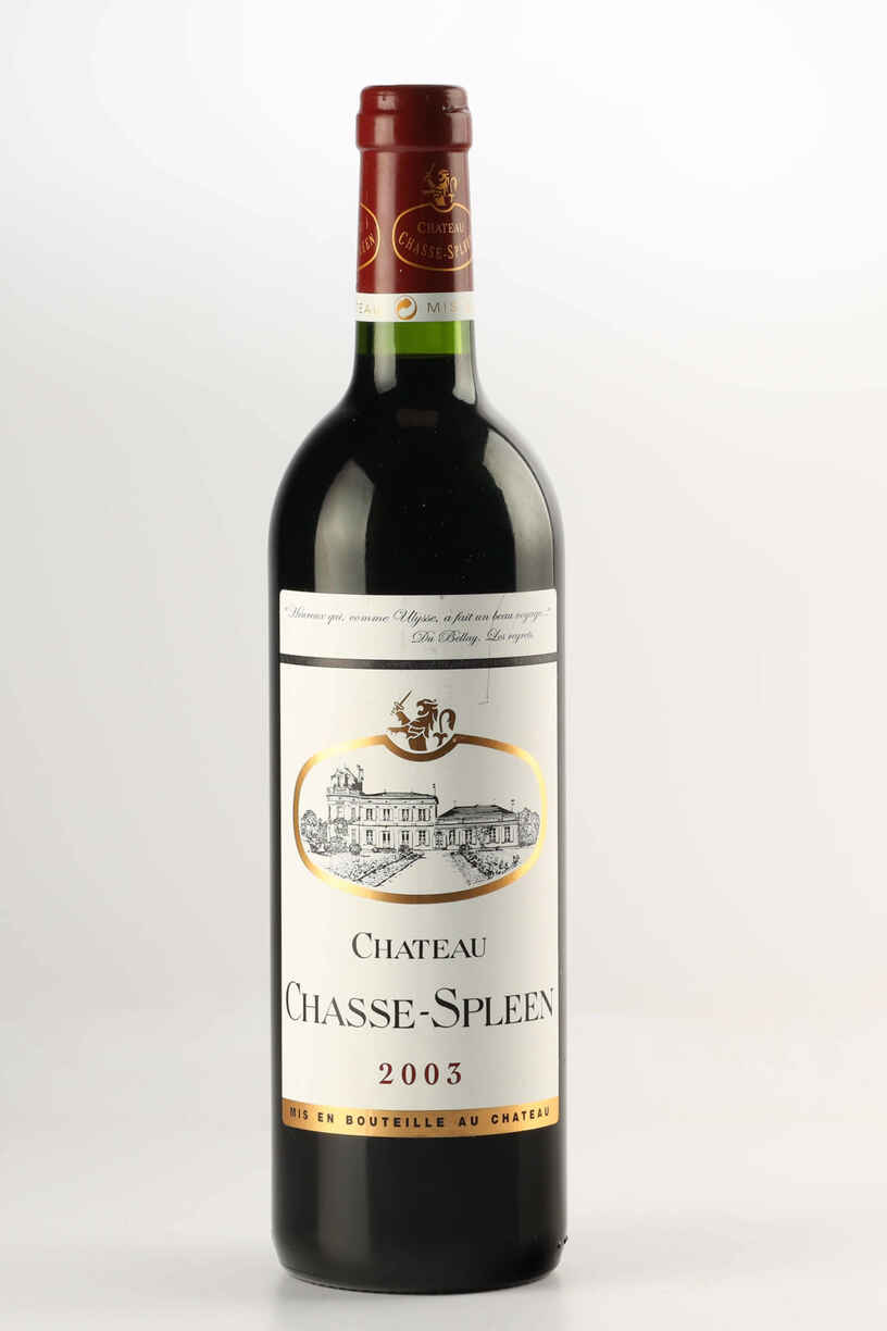 Chateau Chasse Spleen 2003