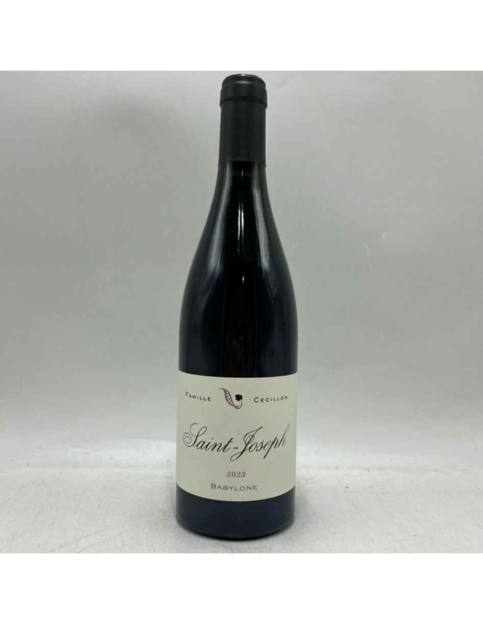 Julien Cecillon Babylone Saint-joseph 2023