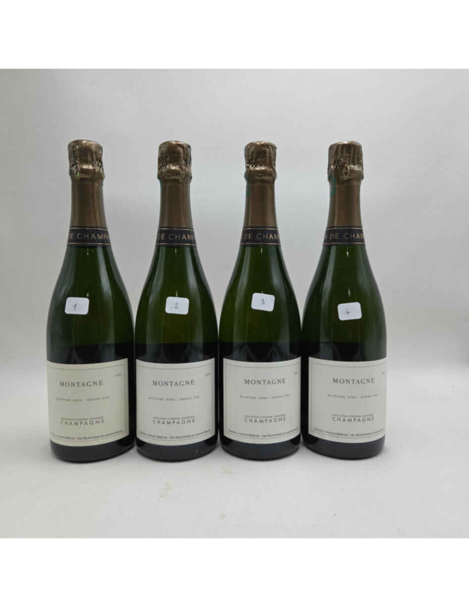 Bereche Et Fils Montagne 2006