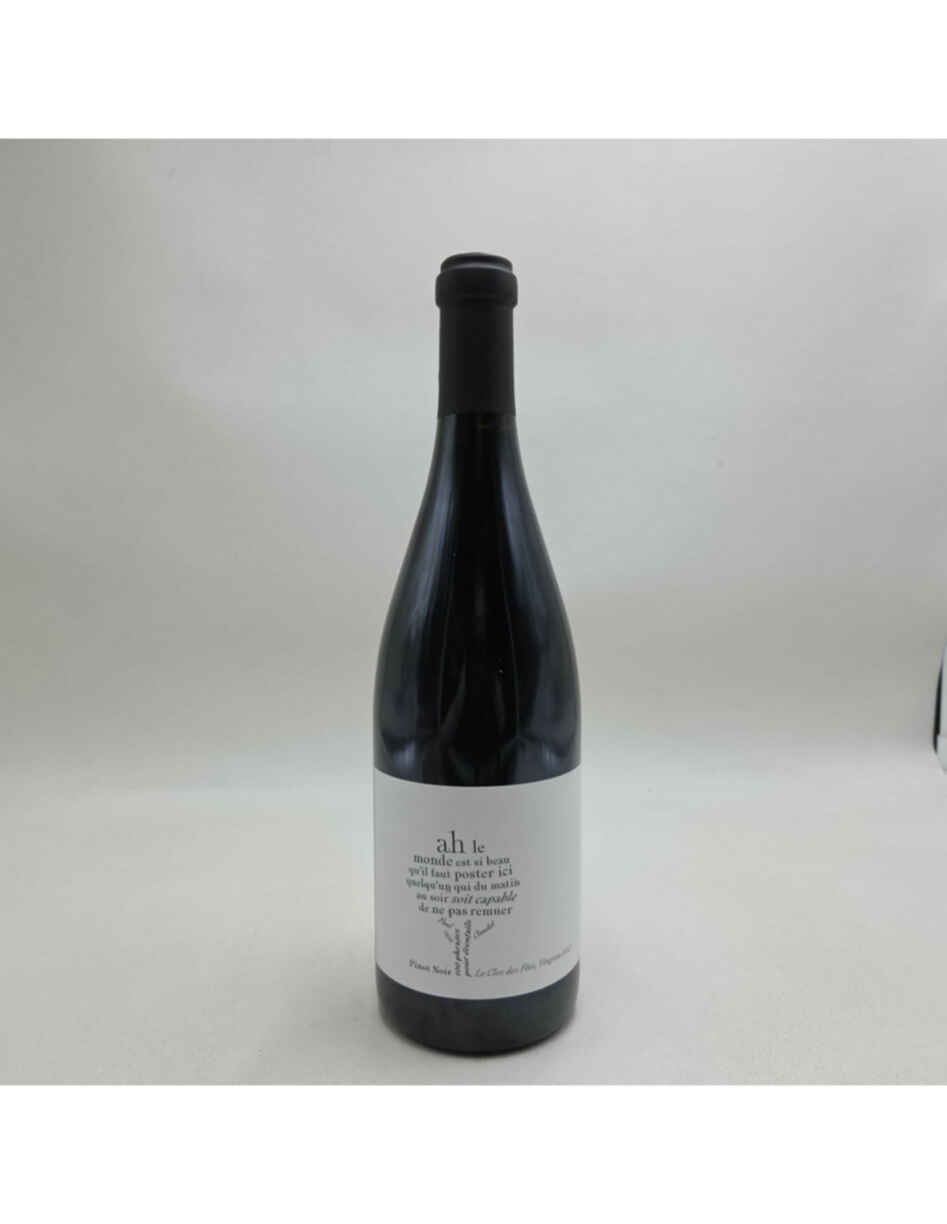 Clos Des Fees 100 Phrases Pinot Noir Cotes Catalanes 2023