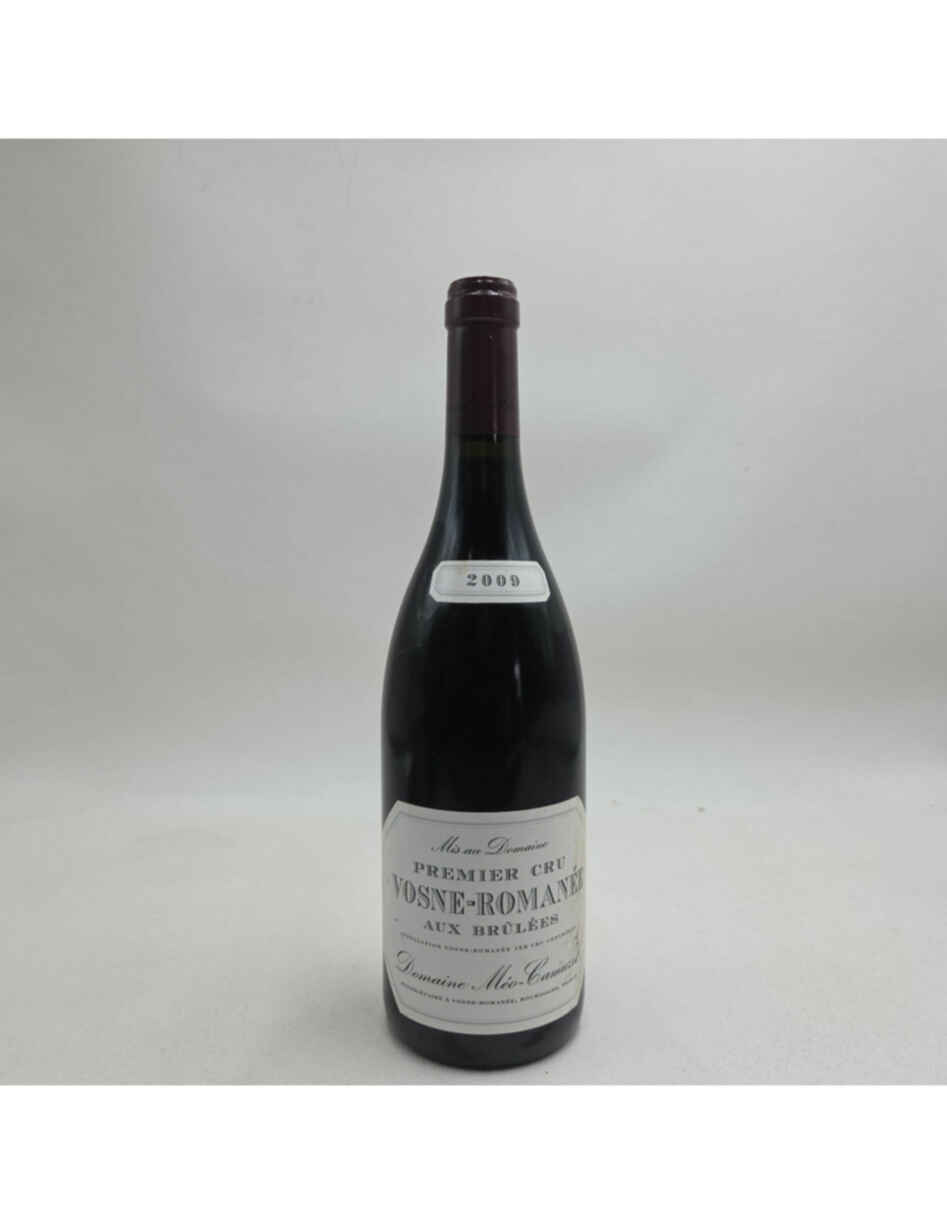 Meo Camuzet Vosne Romanee Aux Brulees 1er Cru 2009