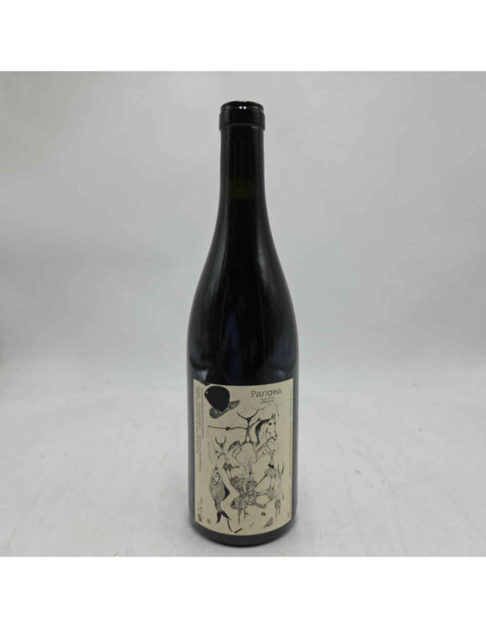 Morgane Turlier Pangea Vin De France 2022