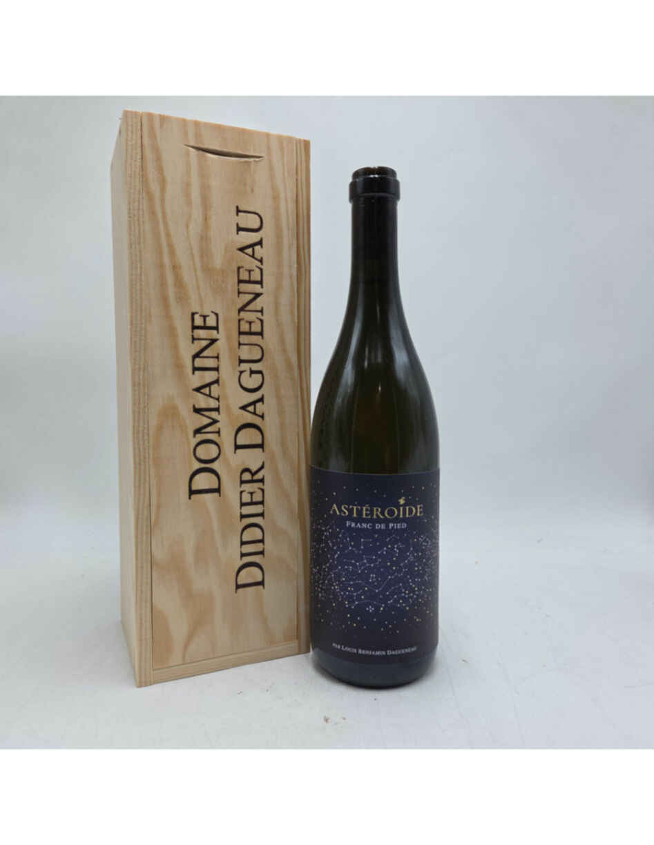 Didier Dagueneau Asteroide 2022