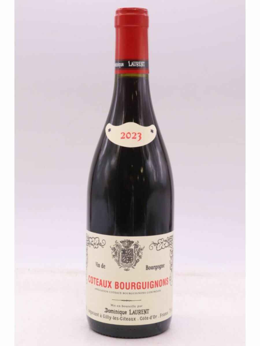 Dominique Laurent Coteaux-bourguignons 2023