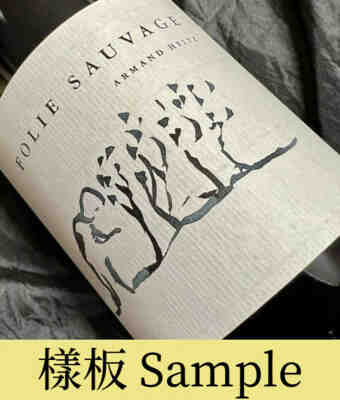 Armand Heitz , Folie Sauvage , 2020
