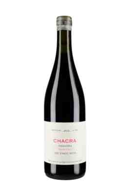 Bodega Chacra Treinta Y Dos Pinot Noir 2020